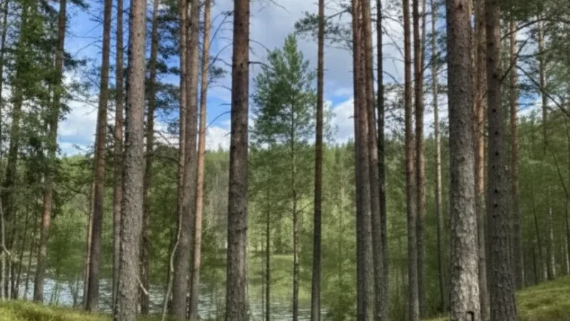 7 Hiking Trails – Easy to moderate paths(5)
