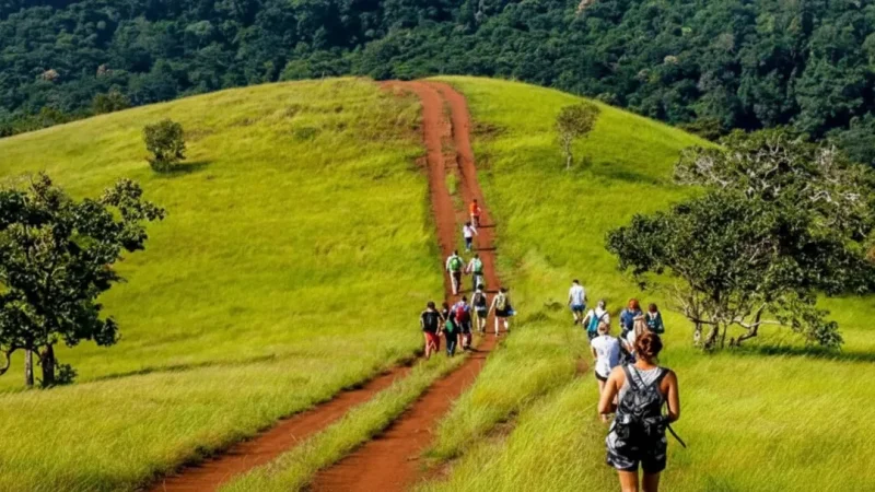 7 Jungle Paths – Scenic walking routes(3)