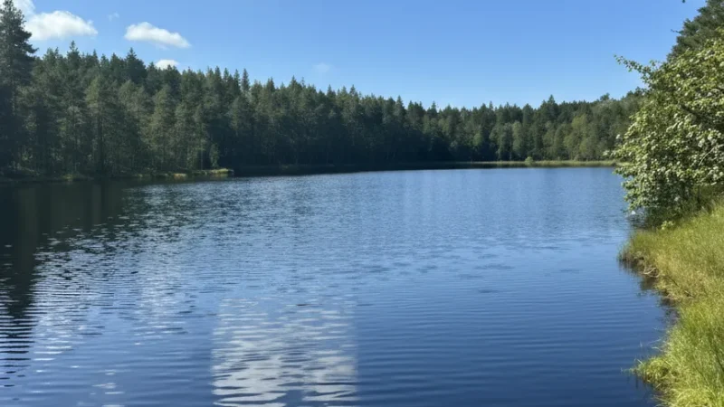 7 Lakeside Walking Paths – Calm city nature routes(5)