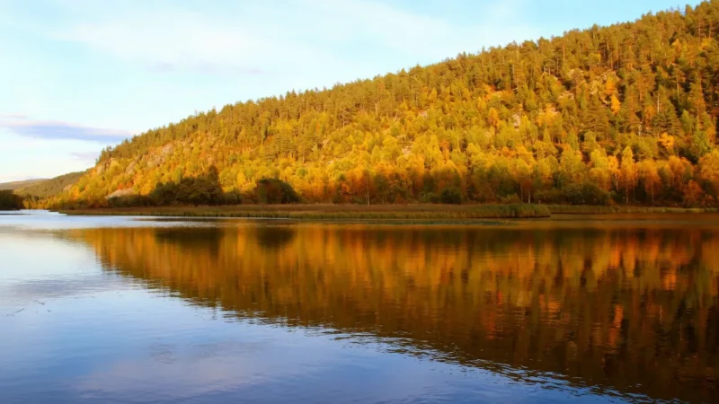 7 Lapland National Parks ‒ Vast protected areas(2)