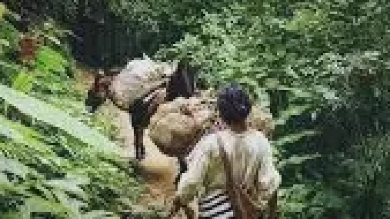 7 Nature Hiking Trails – Forest walks(1)