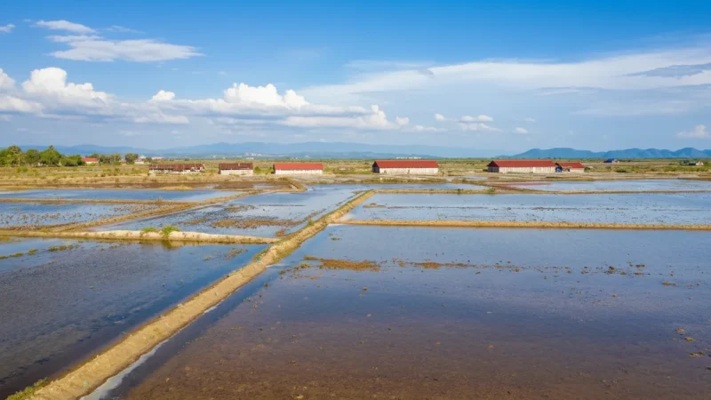 7 Salt Fields Nearby – Traditional salt farming(4)