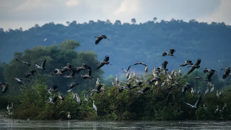 7 Wildlife Viewing Points – Natural habitats(2)