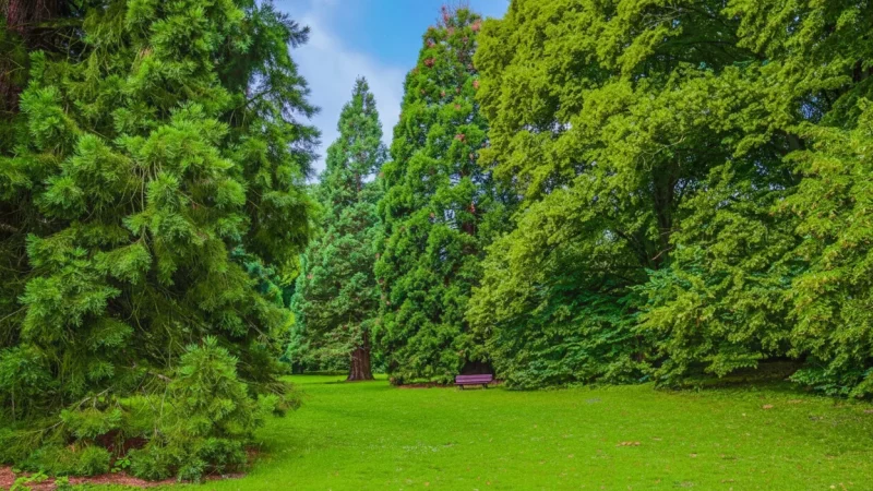 7. Botanical Garden Rombergpark(6)