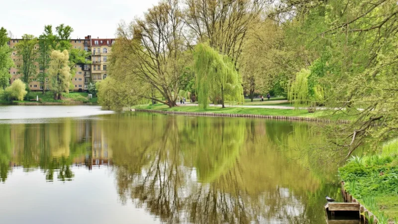 7. Lietzensee Park(1)