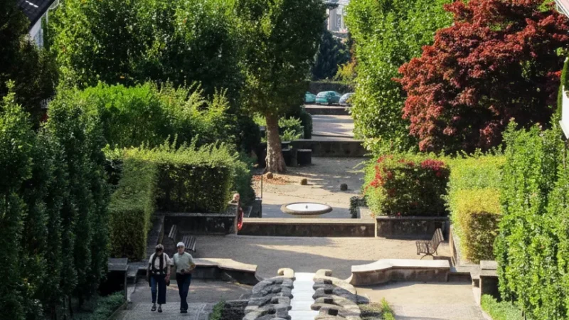 7. Paradies Cascade(5)