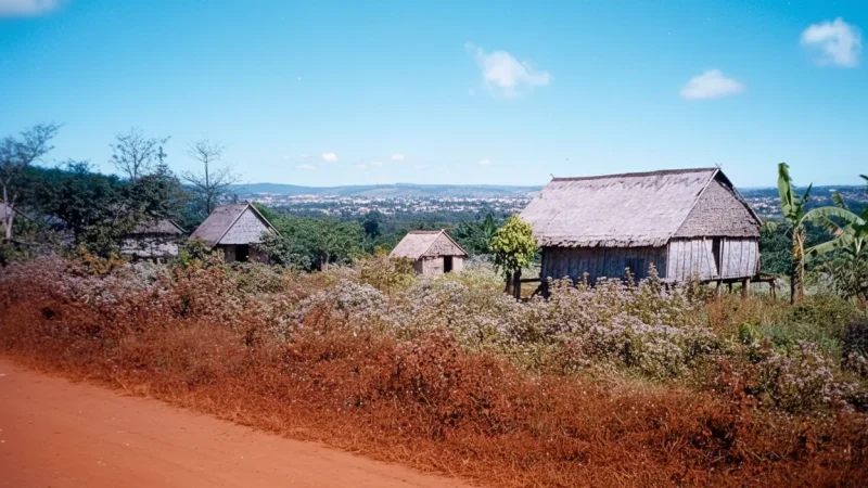 8 Conservation Zones – Protected environments(5)
