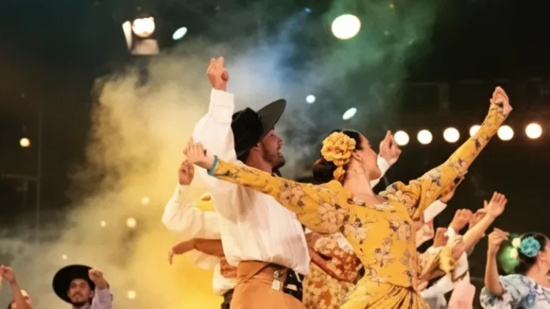 8 Cultural Performance Areas – Local shows(4)