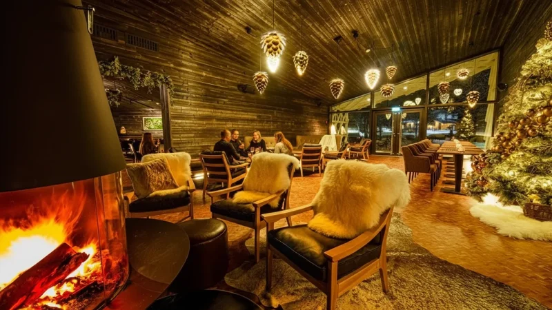 8 Lapland Restaurants ‒ Arctic-style dining(4)