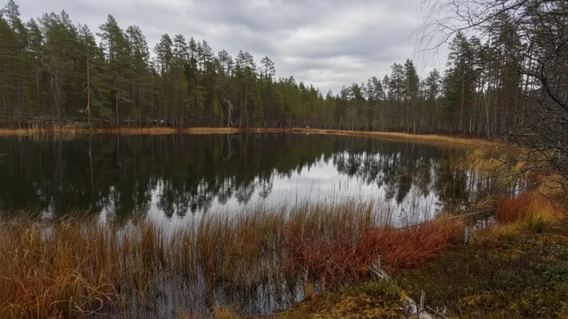 8 Photography Spots – Dunes and lake scenery(1)