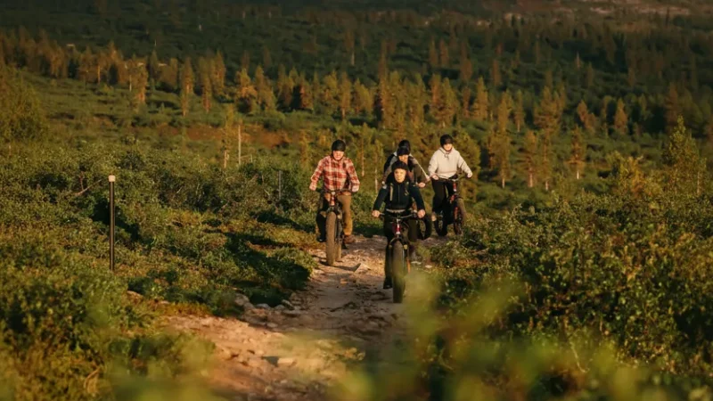 8 Summer Hiking Trails ‒ Fell and forest paths(5)