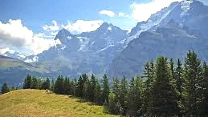 8. Mountain Viewpoints(2)