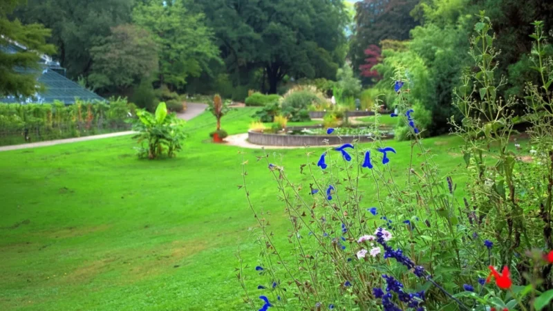 8. University of Freiburg Botanical Garden(4)