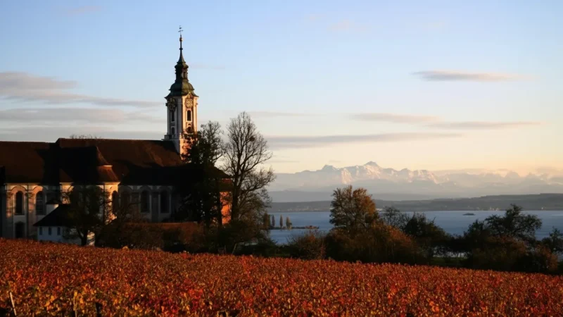 9) Birnau Basilica(5)