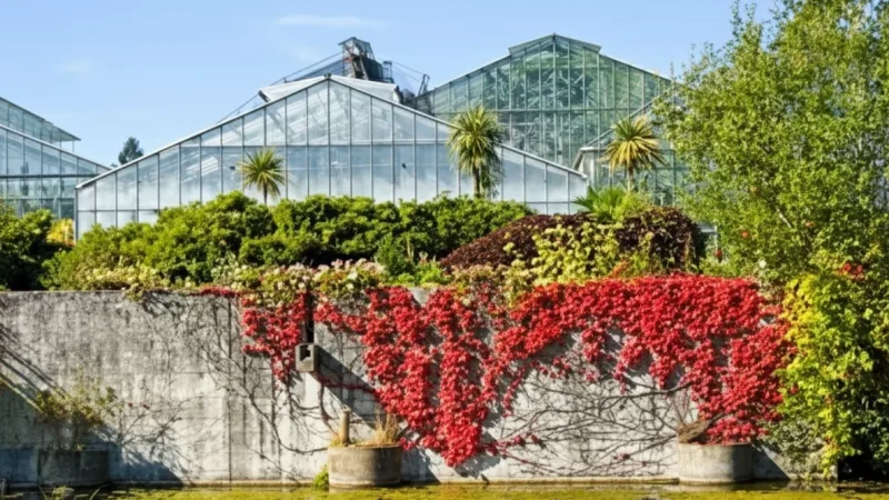 9) Botanischer Garten Marburg(2)