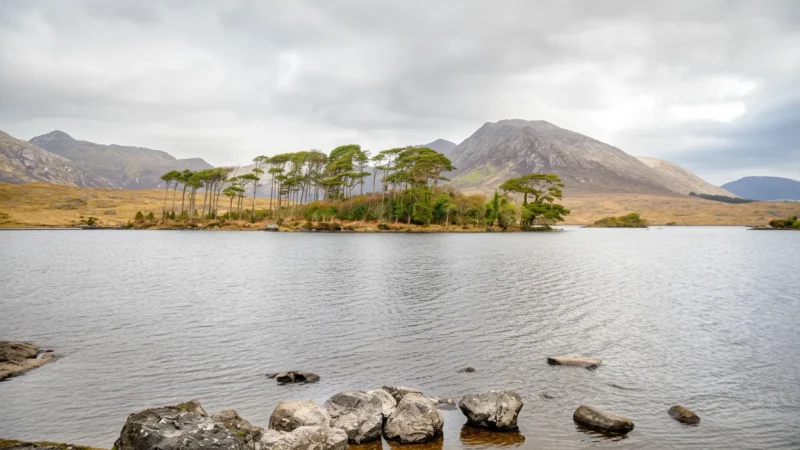 9) Connemara National Park(1)