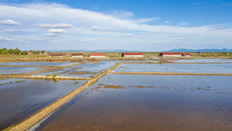 9 Educational Viewing Spots – Farming process(1)