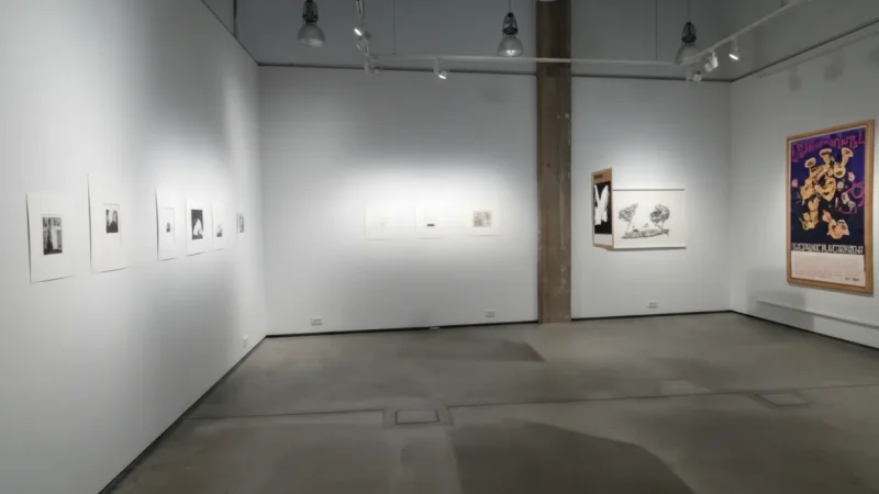 9 Local Art Galleries – Cultural exhibitions(3)