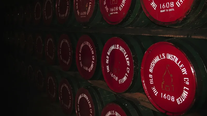 9) Old Bushmills Distillery(3)