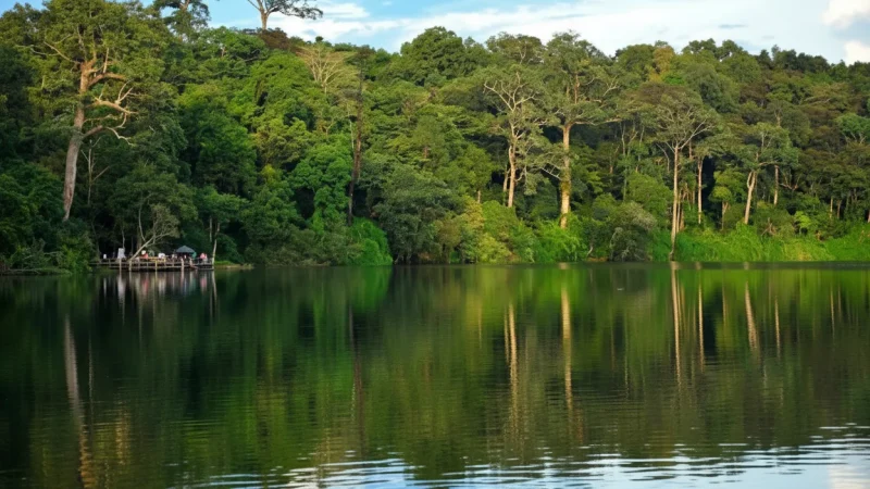9 Sunrise Viewing Areas – Morning calm(4)
