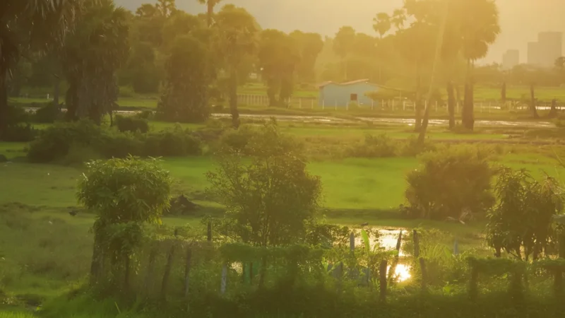9 Sunset Garden Spots – Evening tranquility(5)