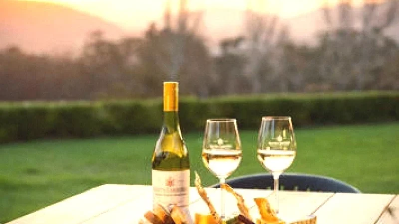 9 Wine Tasting Rooms – Estate cellar visits(5)