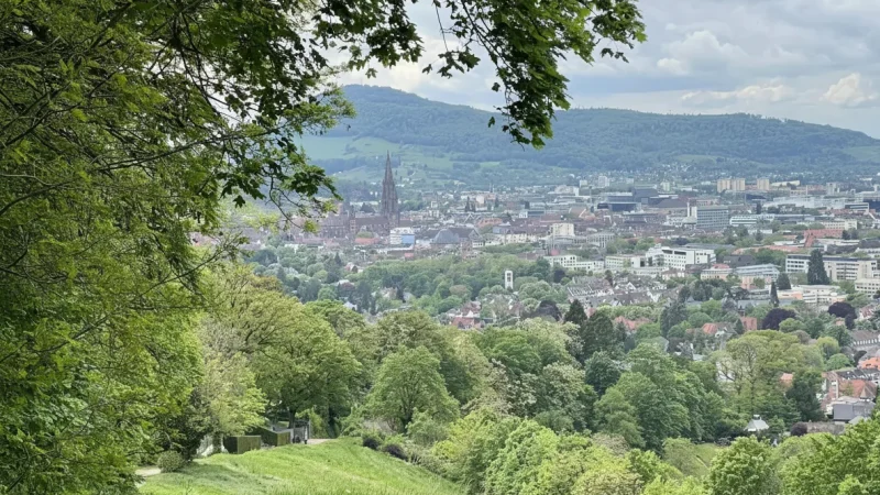 9. Freiburg City Forest(5)