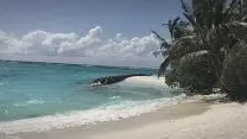 Aarah Main Beach(4)