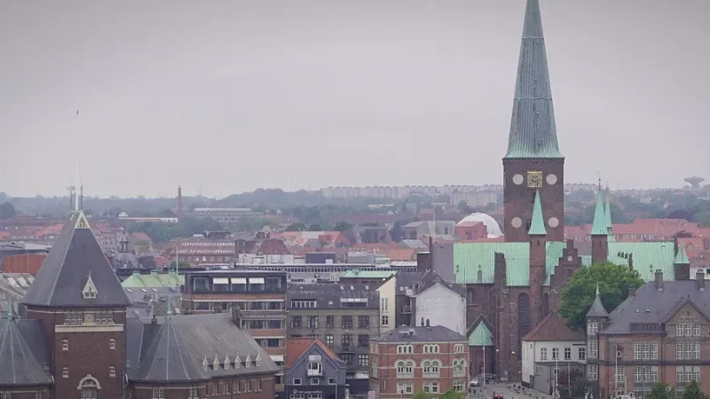 Aarhus Cathedral(4)