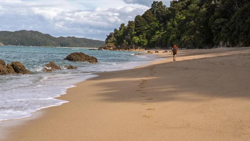 Abel_Tasman_Coast_Track_тАУ_Coastal_Walking_Route_03