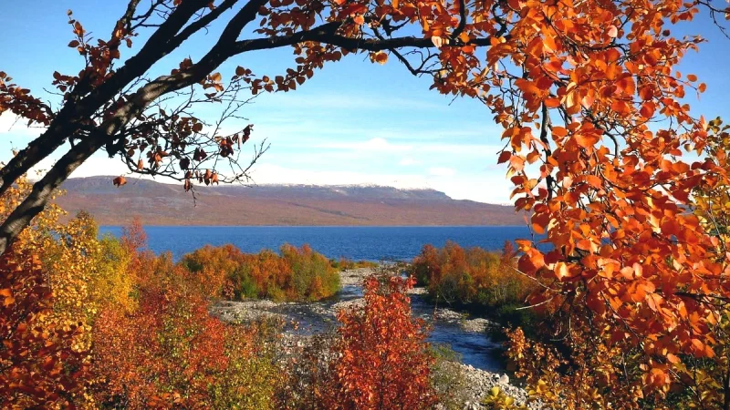 Abisko National Park(4)