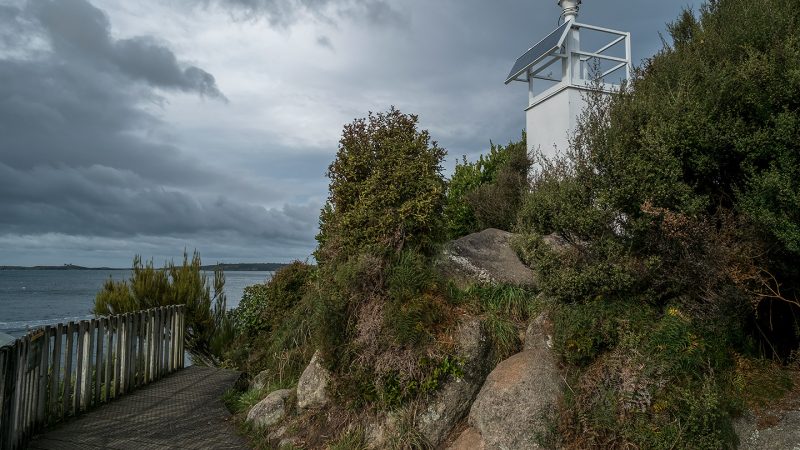 Ackers-Point-Track--MUST-CREDIT-NZNationalParks.com__6aa88f65-a382-ef3f-7baf26ab10e96334