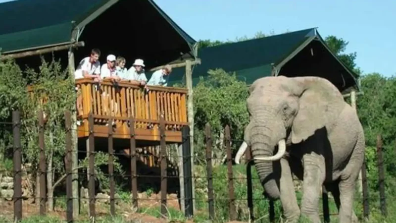 Addo_Rest_Camp_тАУ_Park_facilities_and_views_01