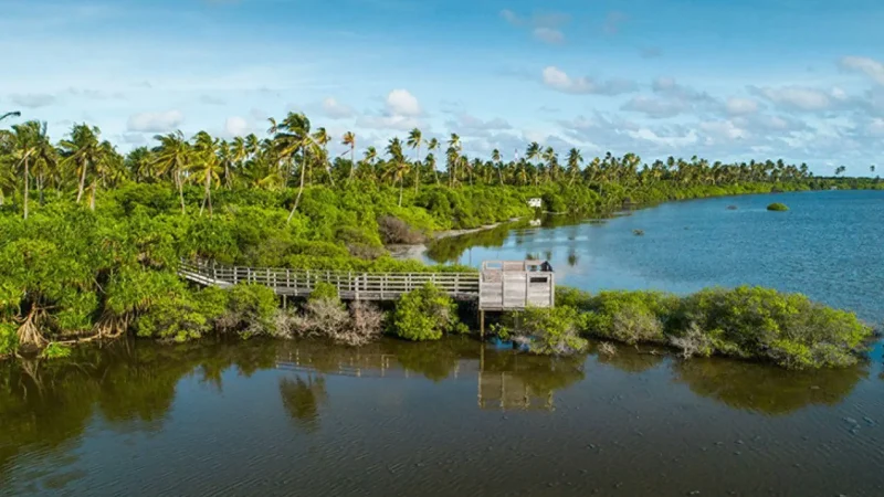 Addu_Nature_Park_–_Green_walking_area__01