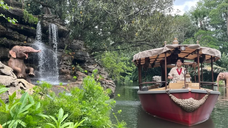 Adventureland – Jungle Theme(2)