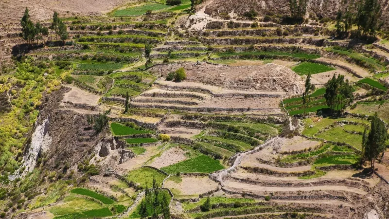 Agricultural_Terraces_–_Ancient_farming_landscapes__05