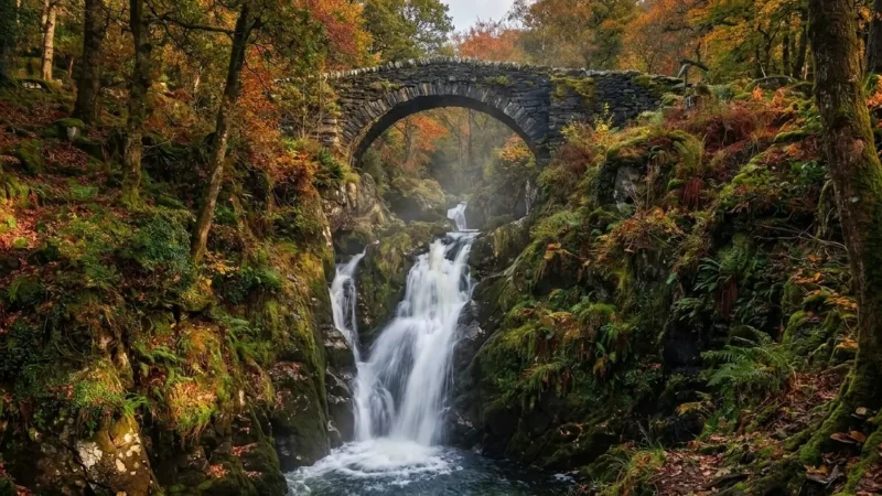 Aira_Force_01