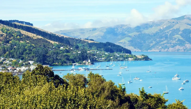 Akaroa_Harbour_тАУ_Scenic_harbor_views_06