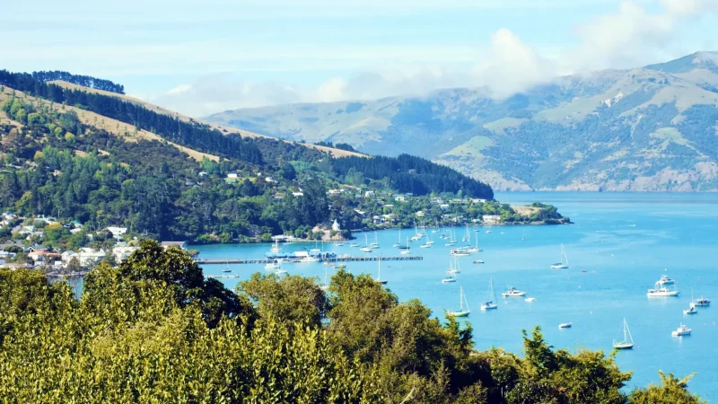 Akaroa_Harbour_тАУ_Scenic_harbor_views_06