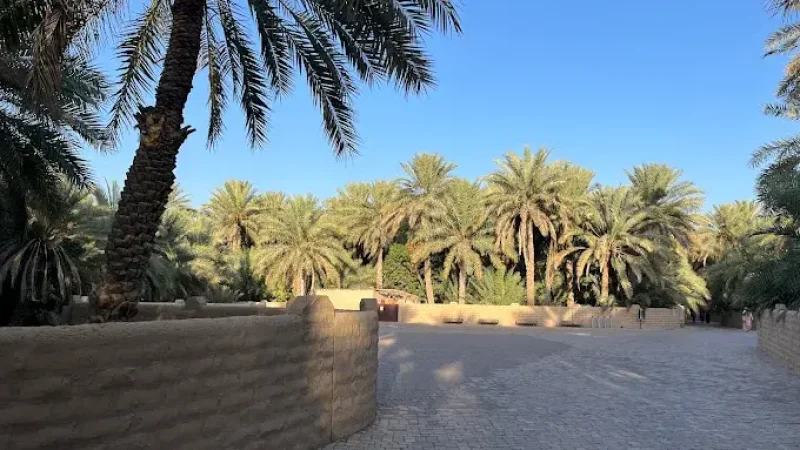 Al Ain Oasis1