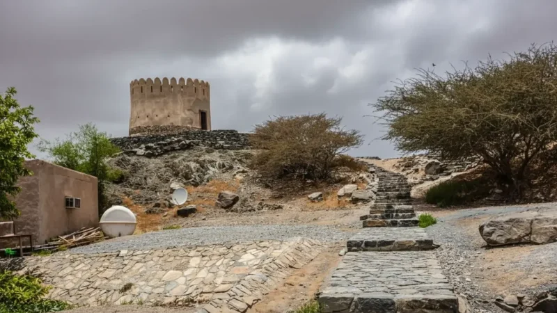 Al Bidyah Watchtowers (1)