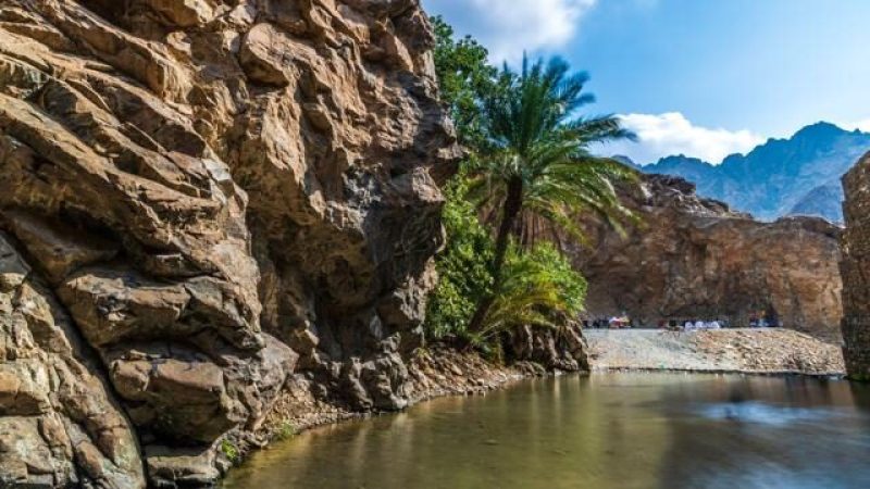 Al Hafiya Picnic Area6