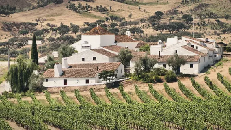 Alentejo Vineyards – Rolling wine-producing landscapes(3)
