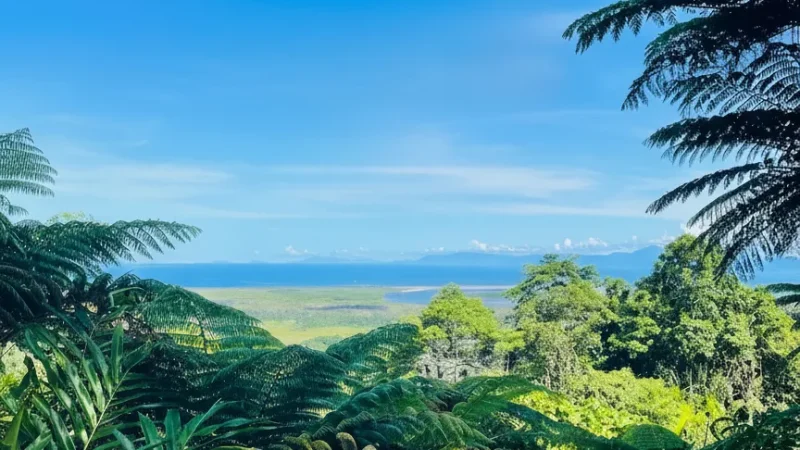 Alexandra Lookout – Panoramic rainforest views(4)