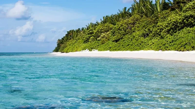 Alimathaa_Beach_–_Soft_white_sand_and_clear_water__01
