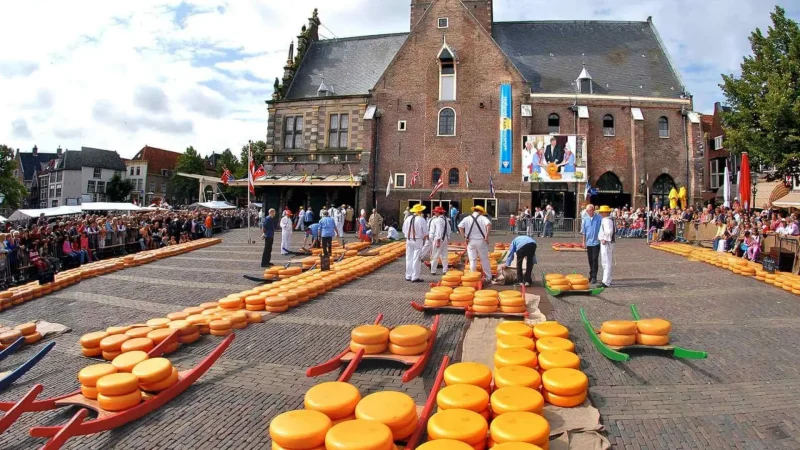 Alkmaar_Cheese_Market_(Waagplein)_01