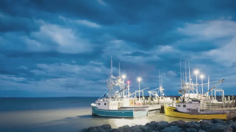 Alma Village – Fishing village atmosphere(4)