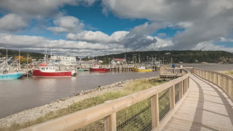 Alma Village – Small fishing village(6)