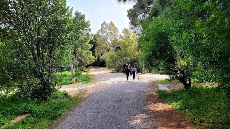 Alsos_Syngrou_Park_04