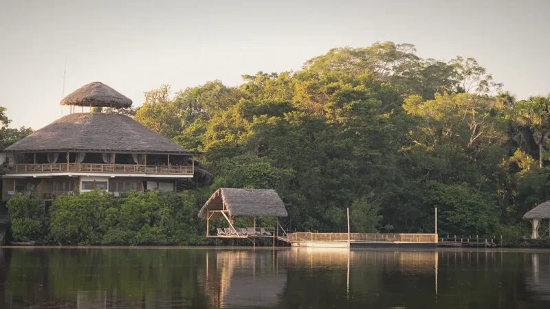 Amazon Jungle Lodges – Forest accommodation stays(7)